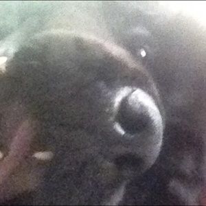 Meet your Posher, Janelle